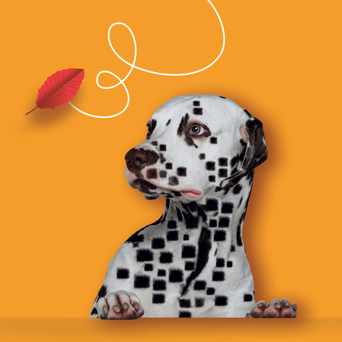 Carrés-magnétiques-1